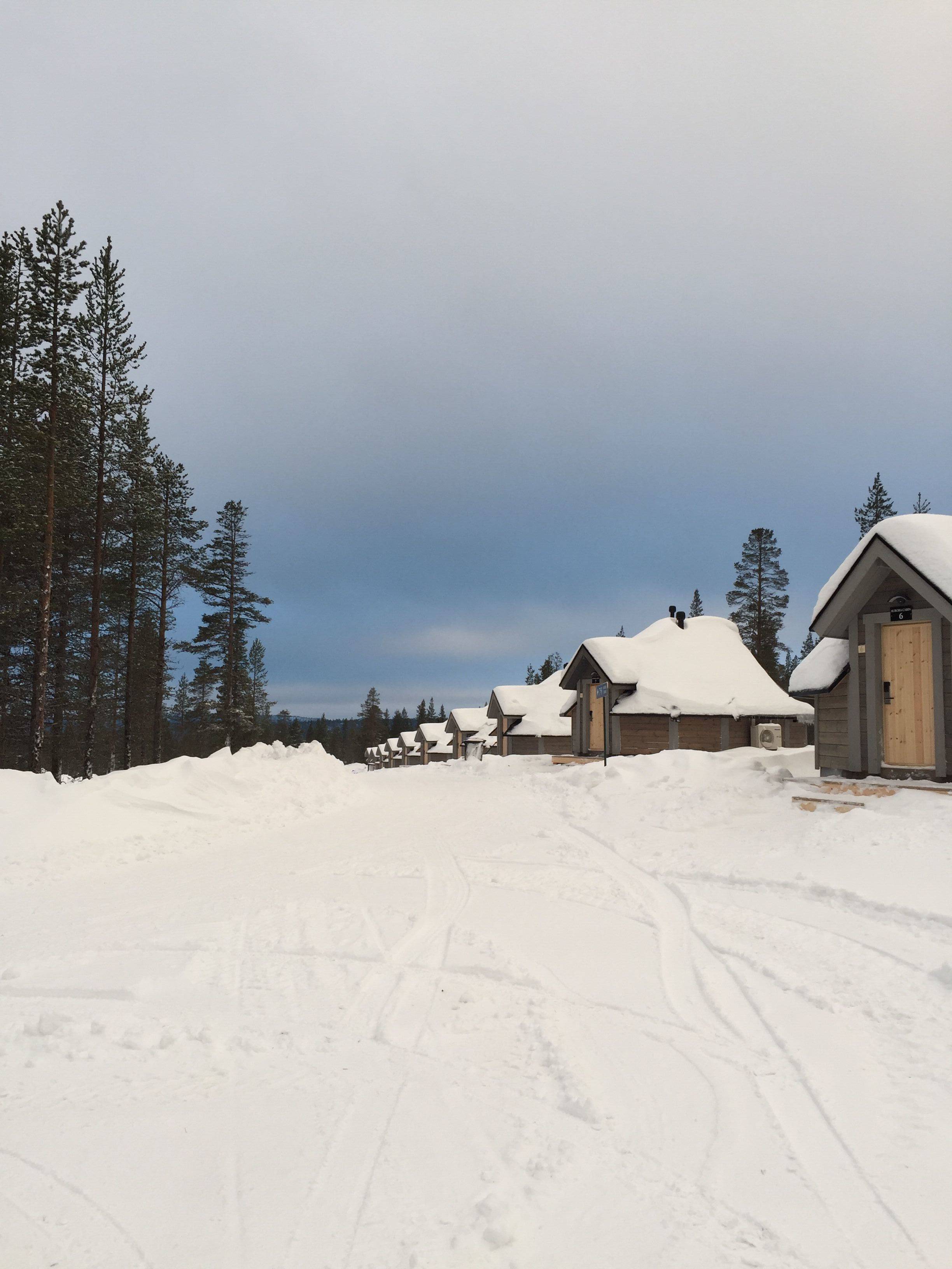 芬兰选手一路凯旋,取得突破 芬兰选手一路凯旋,取得突破